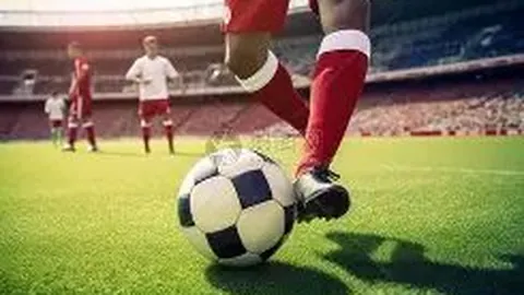 谈球吧 产品 113135 4aj